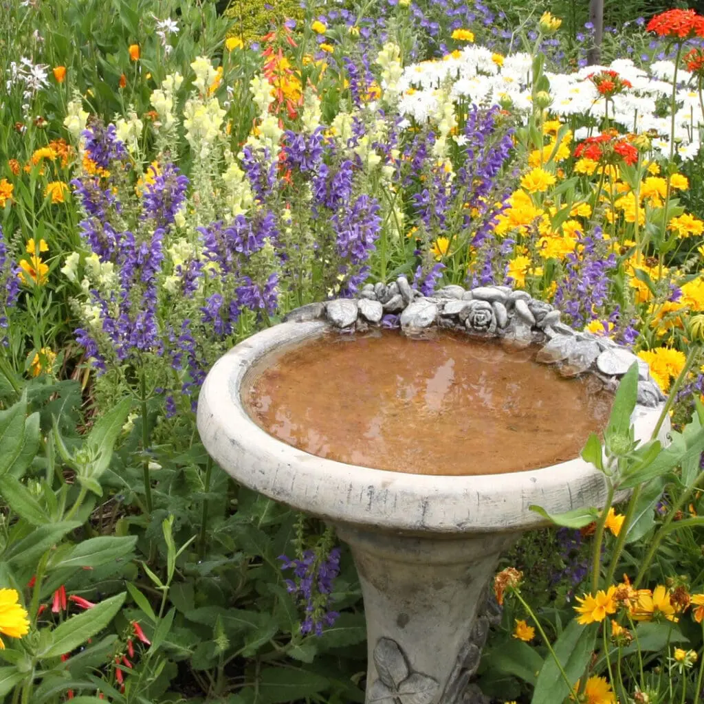 birdbath in a garden