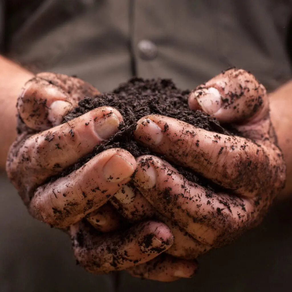 hands holding dirt