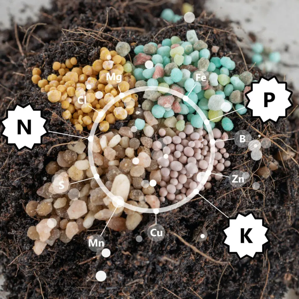soil fertilizer composition