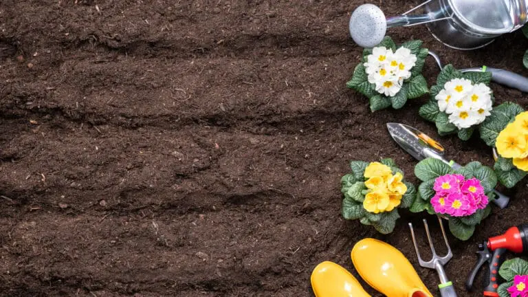 14 Gifts for Gardeners that they will Love