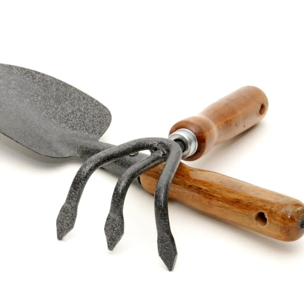 a small garden claw tool