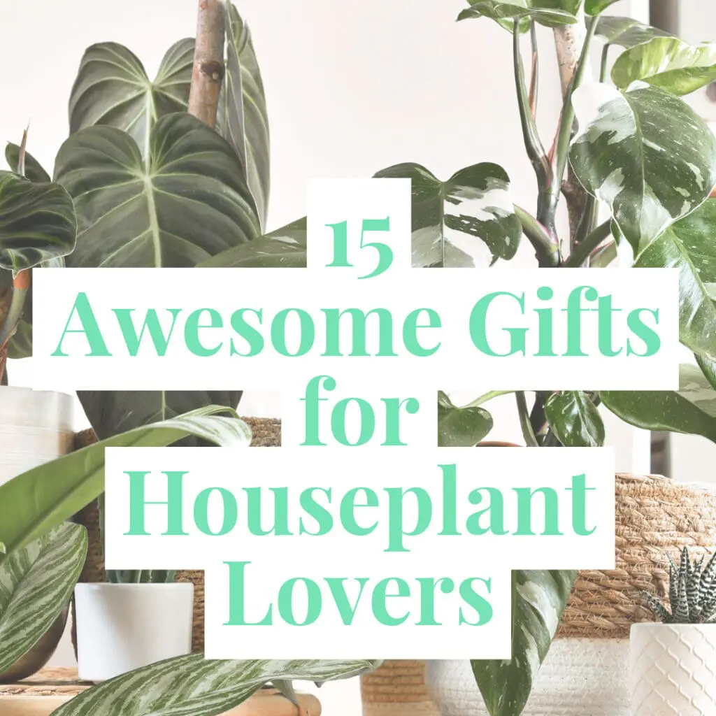 15 Awesome Gifts for Houseplant Lovers