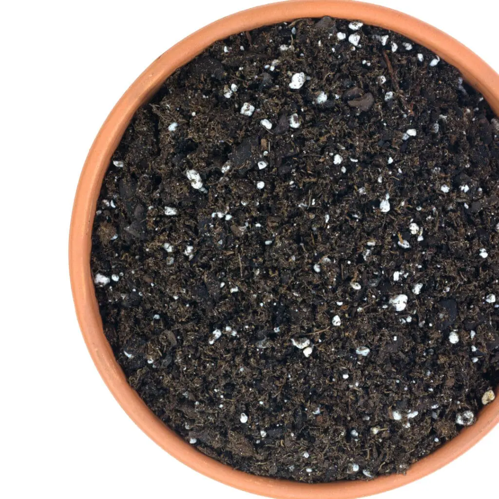 potting soil