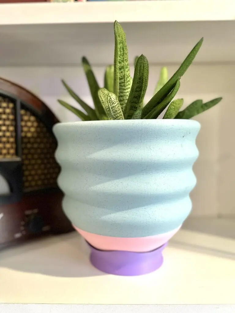 Blue planter with a succulent planted in it
