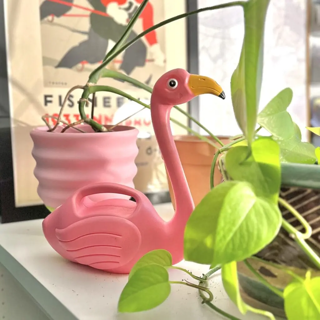 pink flamingo watering can