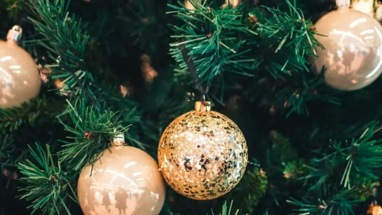 The Great Big Guide to Unique Gifts for 2024