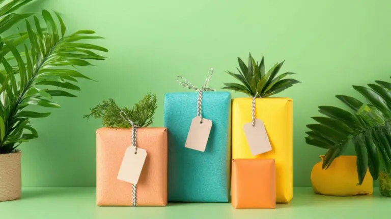 Unique Houseplant Gifts that Aren’t Plants
