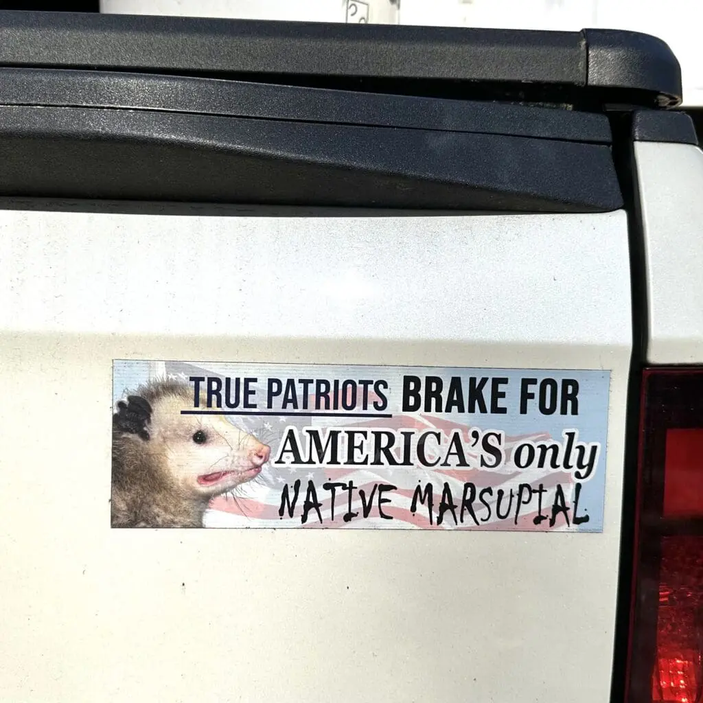 A bumper magnet that says 'True patriots brake for America's only native marsupial' with a picture of a possum over an American flag