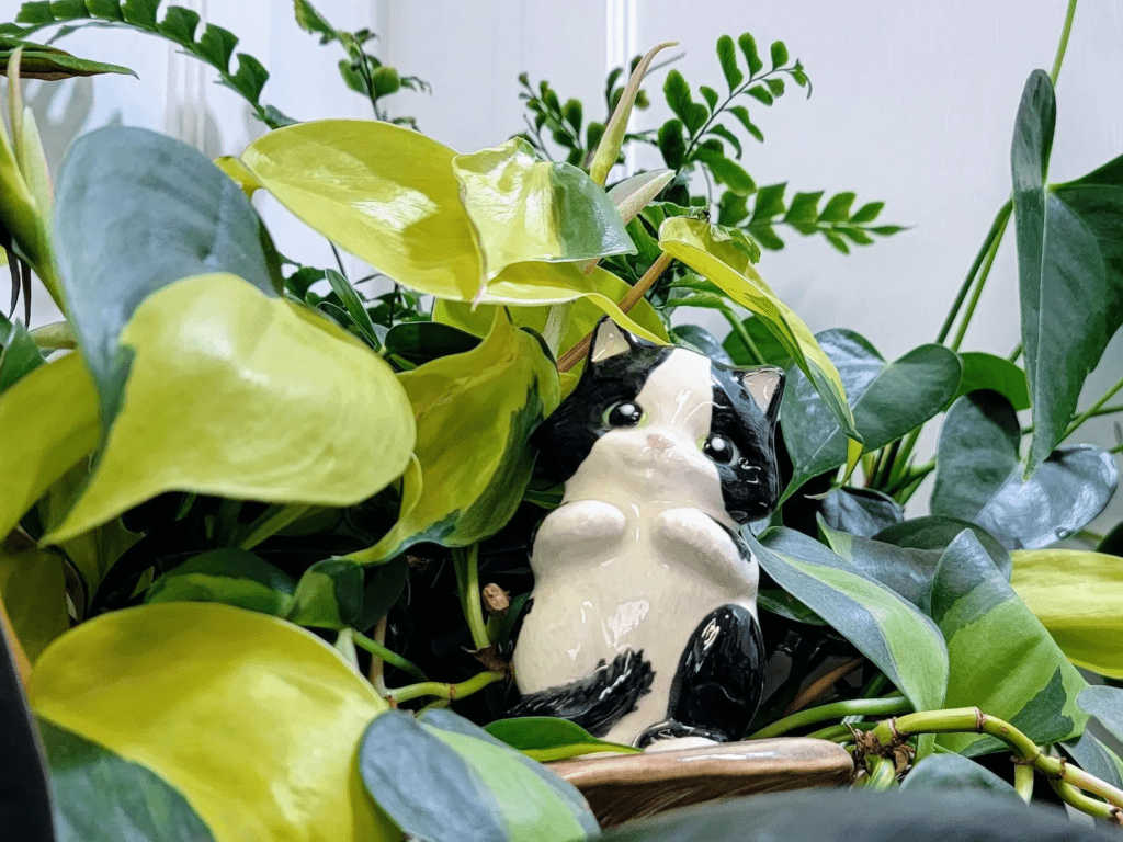 Watering stake shaped like a black and white cat