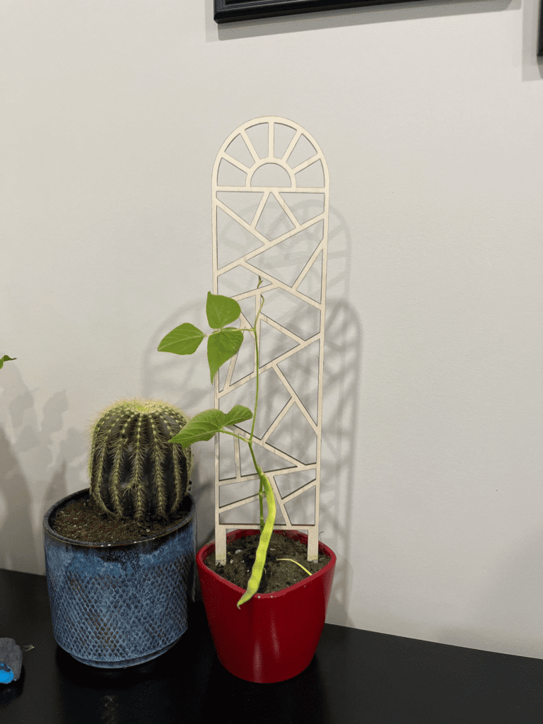 tall wooden plant trellis shaped like an arch with a geometric sunrise pattern cut into it
